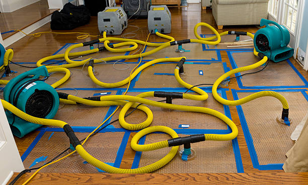 Professional Flood Damage Restoration technician working in Detroit, OR